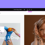 Elementor PRO - WordPress Page Builder Premium 3.29.2